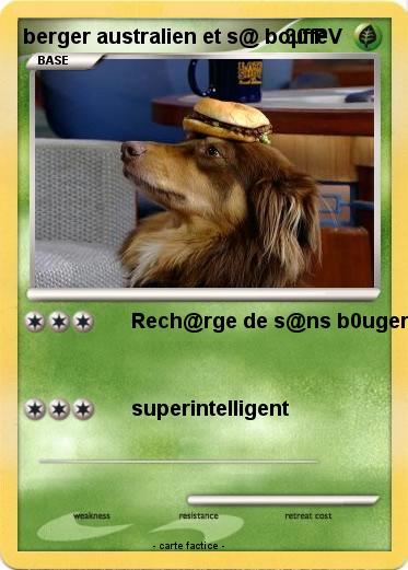 Pokemon berger australien et s@ boµffe