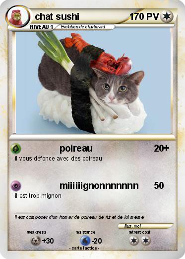 Pokemon chat sushi