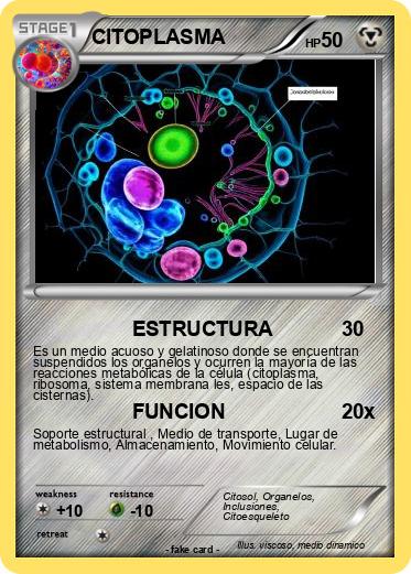 Pokemon CITOPLASMA