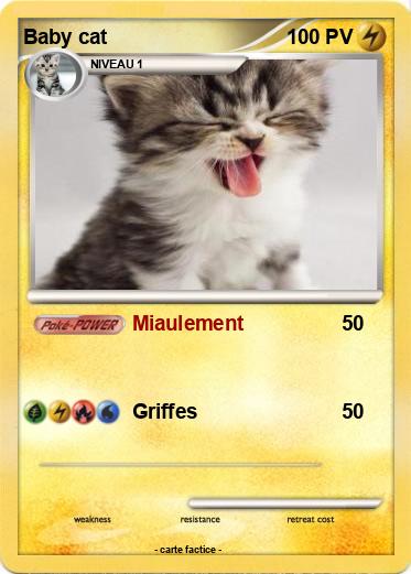 Pokemon Baby cat