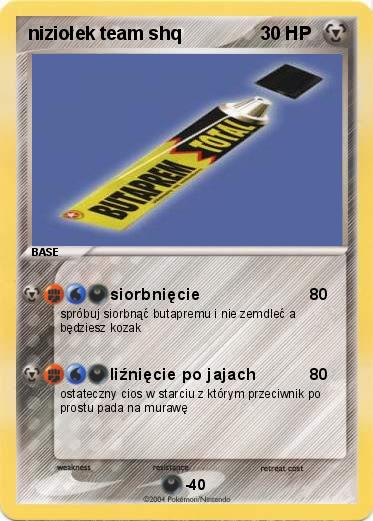 Pokemon niziołek team shq