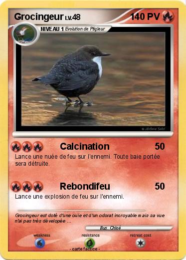 Pokemon Grocingeur