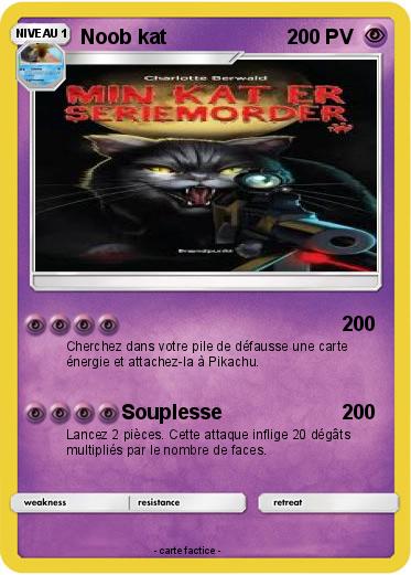Pokemon Noob kat