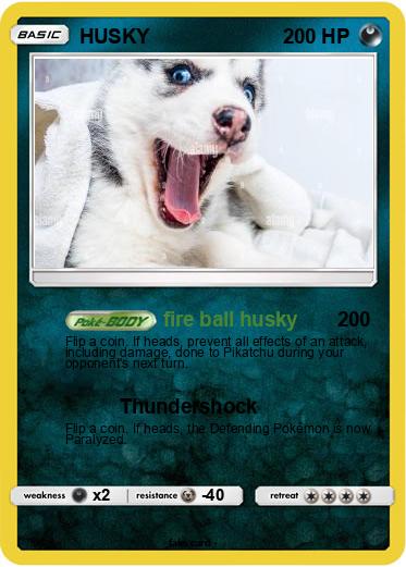 Pokemon HUSKY