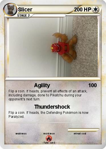 Pokemon Slicer