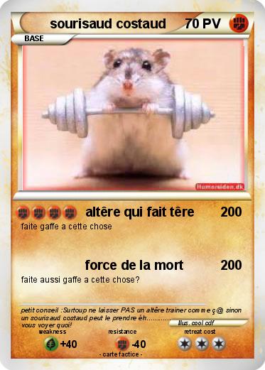 Pokemon sourisaud costaud