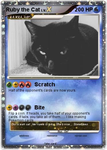 Pokemon Ruby the Cat