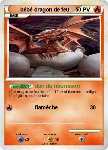 Pokemon bébé dragon de feu