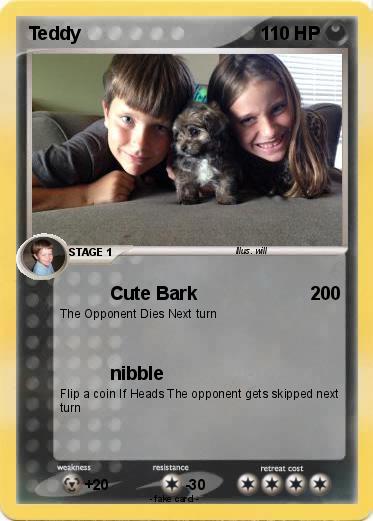 Pokemon Teddy