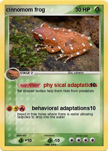 Pokemon cinnomom frog