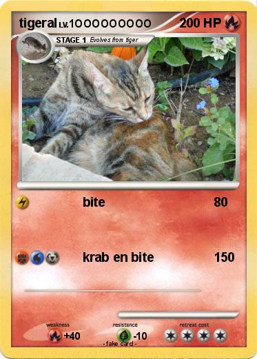 Pokemon tigeral