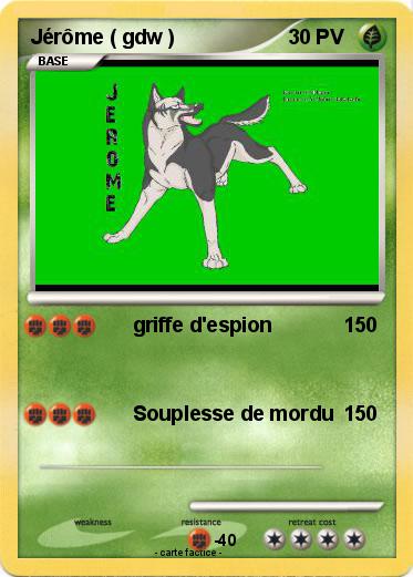 Pokemon Jérôme ( gdw )