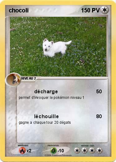 Pokemon chocoli