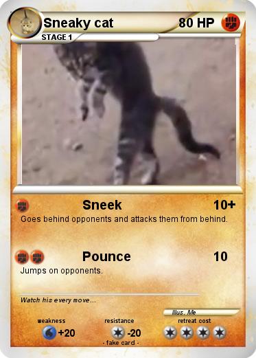 Pokemon Sneaky cat