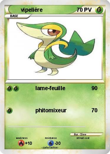 Pokemon vipelière