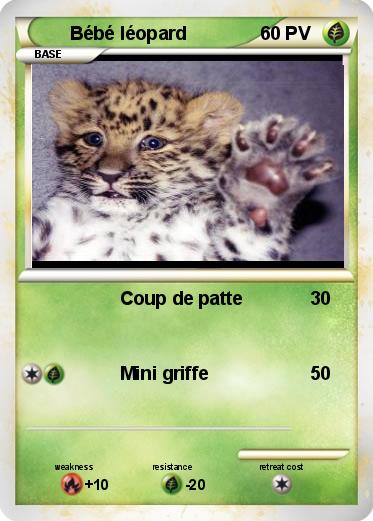 Pokemon Bébé léopard