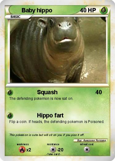 Pokemon Baby hippo
