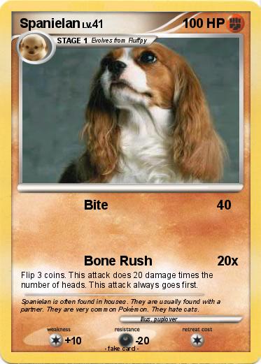 Pokemon Spanielan