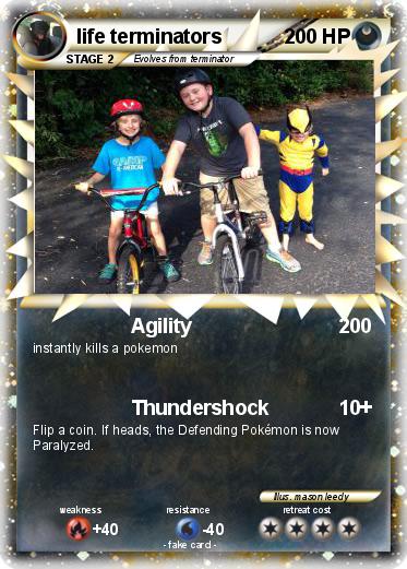 Pokemon life terminators