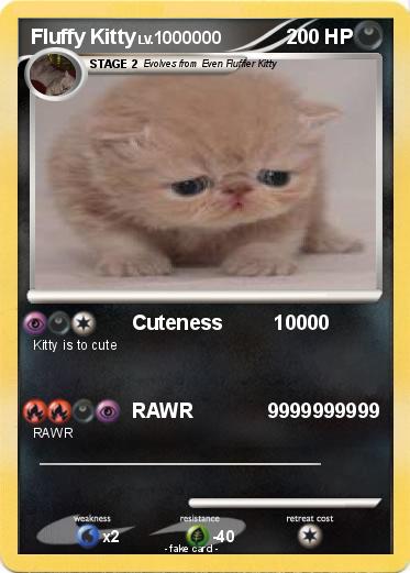 Pokemon Fluffy Kitty