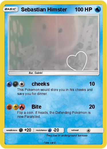 Pokemon Sebastian Himster