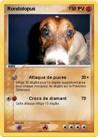 Pokemon Rondolopus