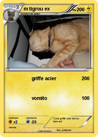 Pokemon m tigrou ex