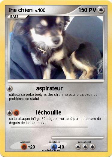 Pokemon the chien
