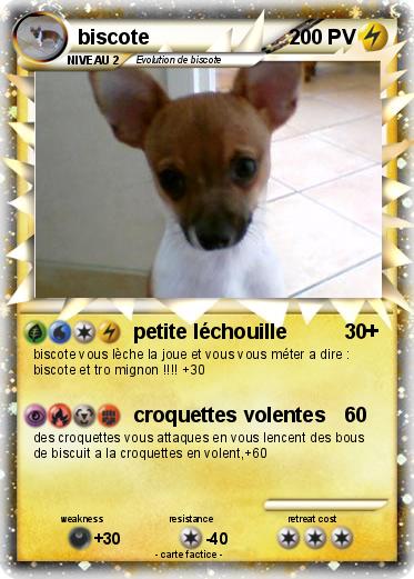 Pokemon biscote