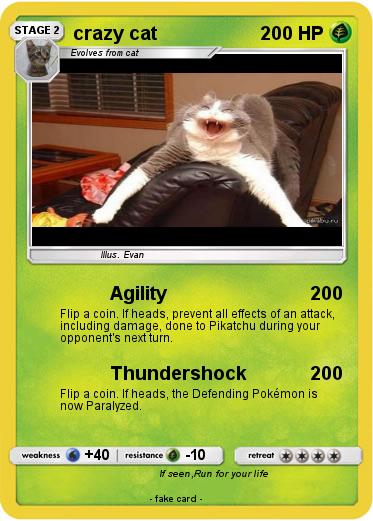 Pokemon crazy cat