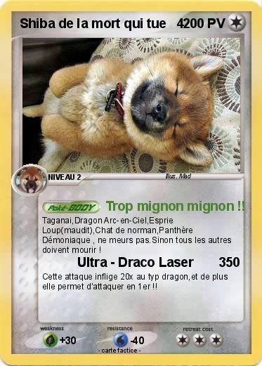 Pokemon Shiba de la mort qui tue   4