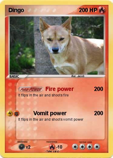 Pokemon Dingo