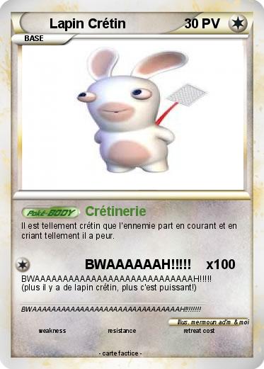 Pokemon Lapin Crétin