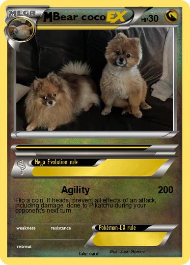 Pokemon Bear coco