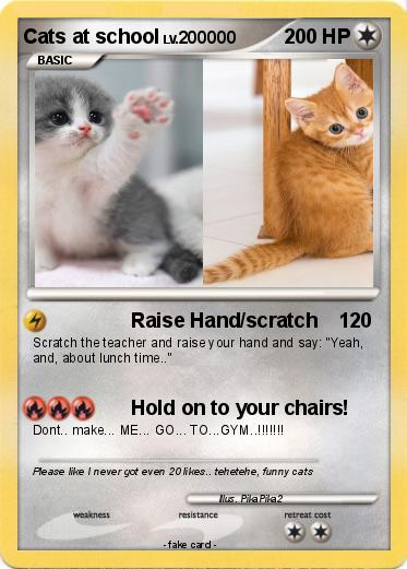 Pokemon Cats at school