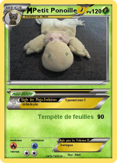 Pokemon Petit Ponoille