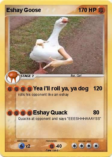 Pokemon Eshay Goose