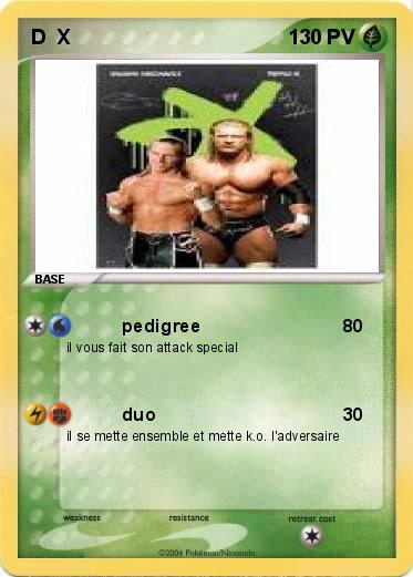 Pokemon D  X
