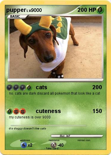 Pokemon pupper