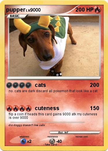 Pokemon pupper