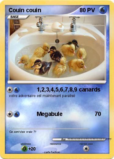 Pokemon Couin couin