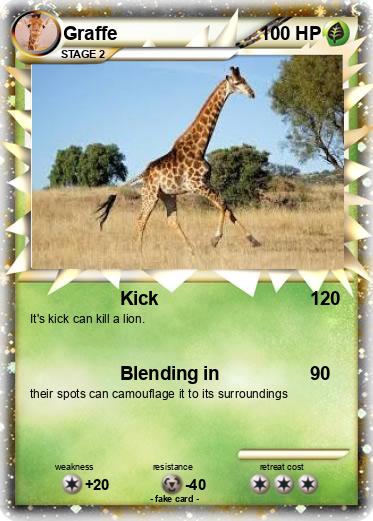 Pokemon Graffe