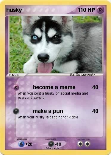 Pokemon husky