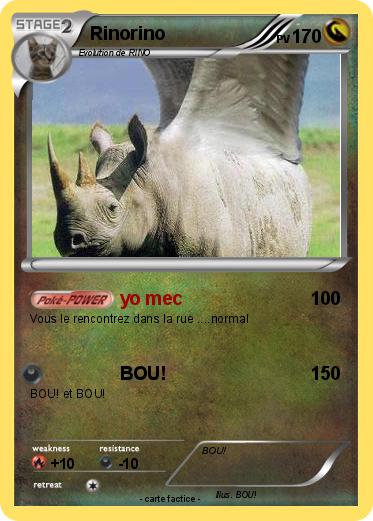 Pokemon Rinorino