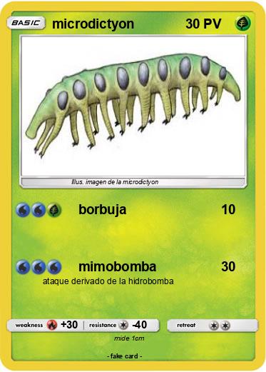 Pokemon microdictyon