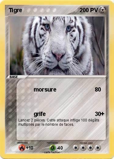 Pokemon Tigre