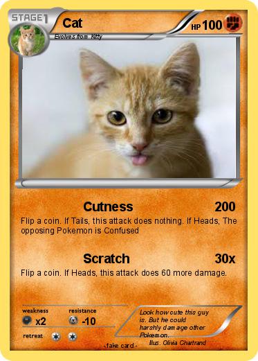 Pokemon Cat