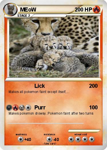 Pokemon MEoW