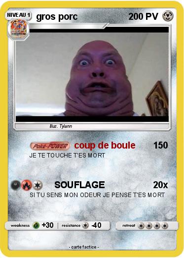 Pokemon gros porc