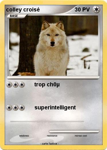 Pokemon colley croisé